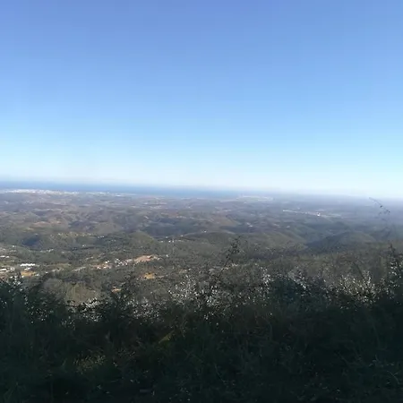 Typical House Vakantiehuis *